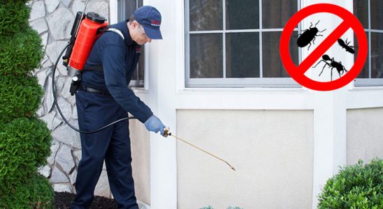 Şahinbey Hamam Böceği İlaçlama böcek ilaçlama ve haşere kontrolü — ilaclama-tr.com